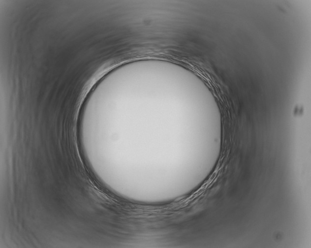 X0000097460195200802220814