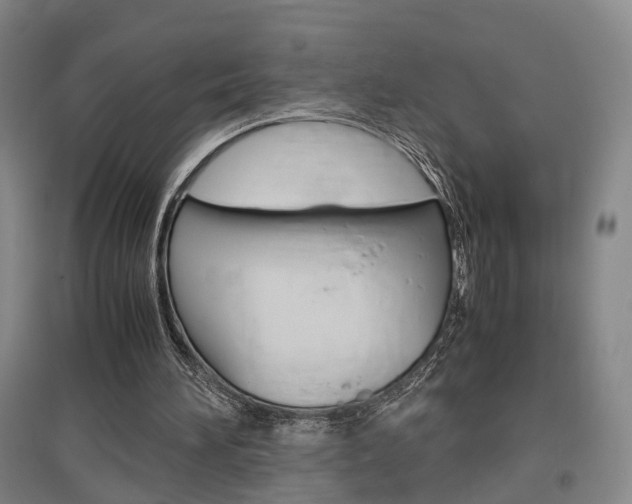 X0000097460196200802220814