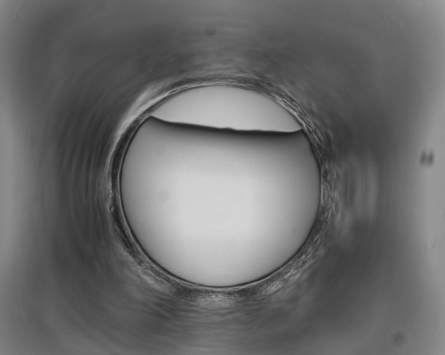 X0000097460198200802220814