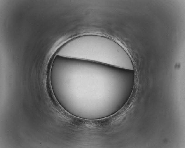 X0000097460199200802220814