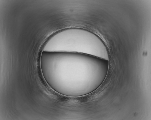X0000097460203200802220814