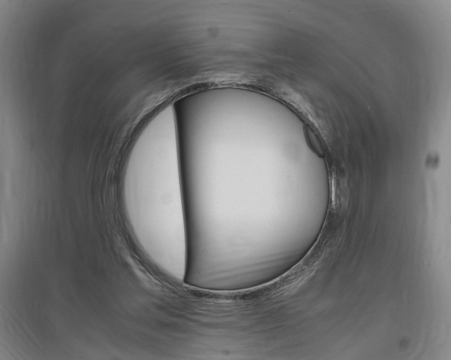 X0000097460205200802220814