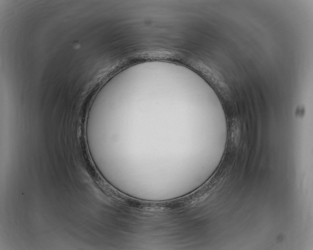 X0000097460206200802220814