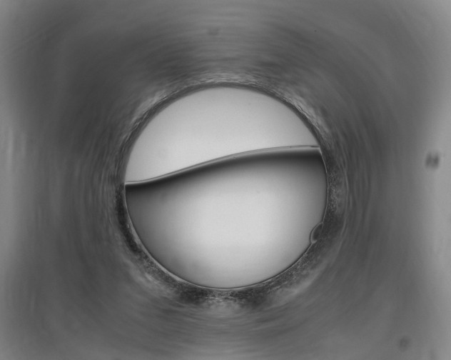 X0000097460207200802220814