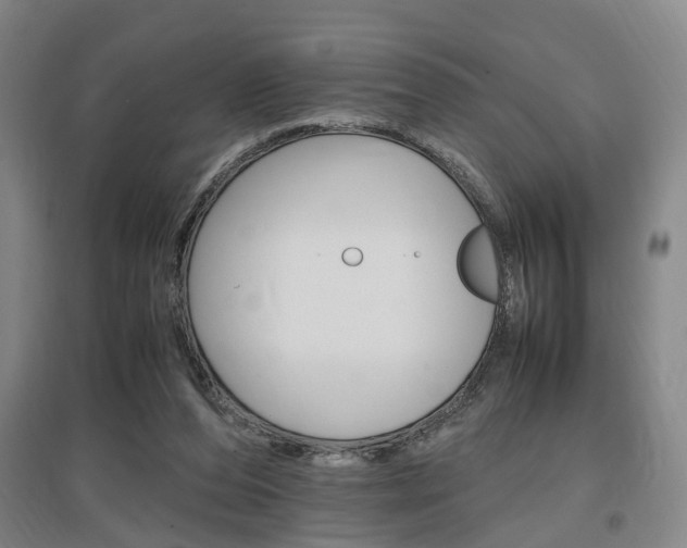 X0000097460208200802220814