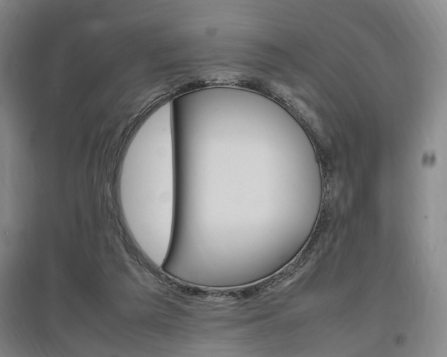 X0000097460209200802220814