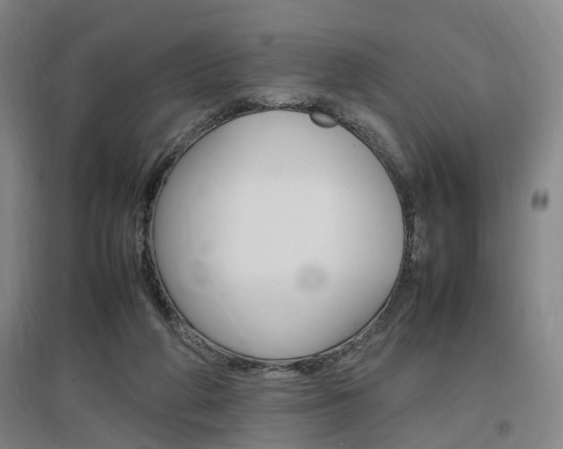 X0000097460210200802220814