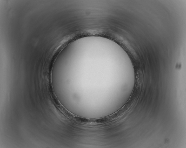 X0000097460212200802220814