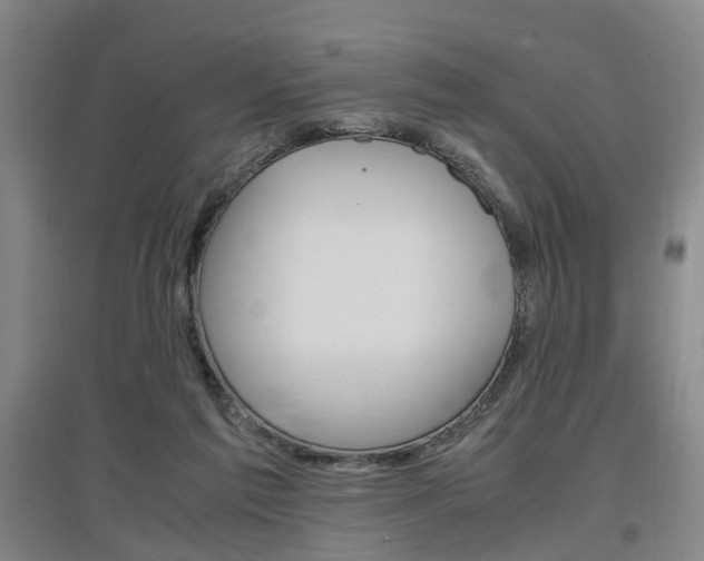 X0000097460213200802220814