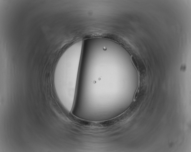 X0000097460215200802220814
