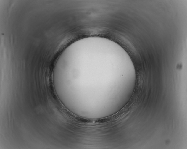 X0000097460216200802220814