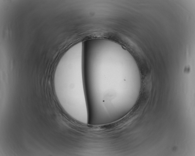 X0000097460217200802220814