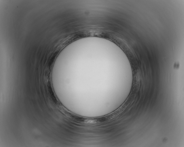 X0000097460218200802220814