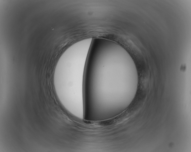 X0000097460219200802220814