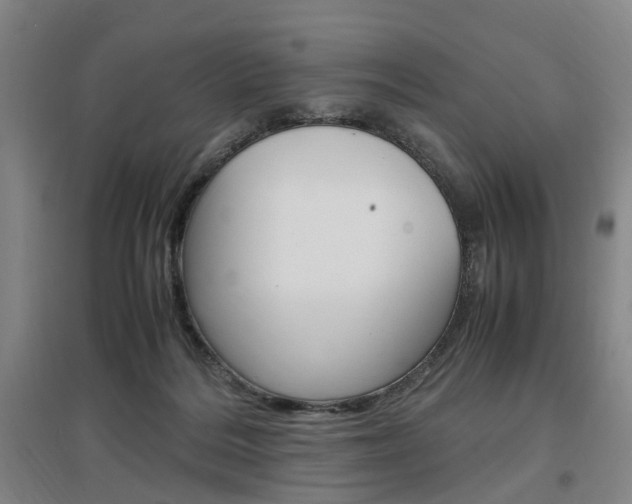 X0000097460220200802220814
