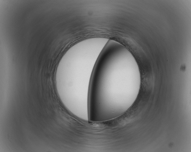 X0000097460221200802220814