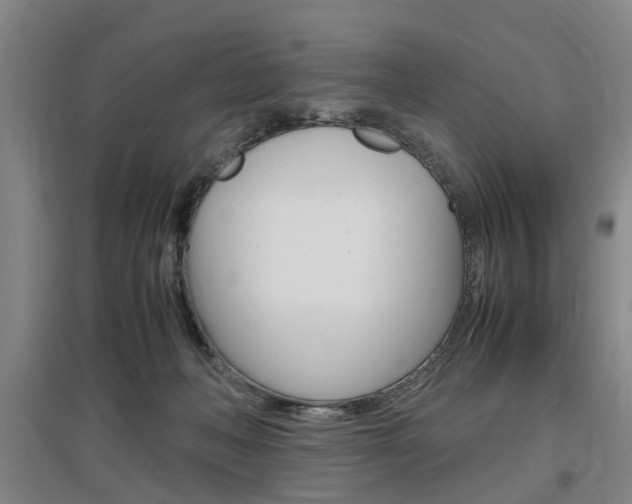 X0000097460222200802220814