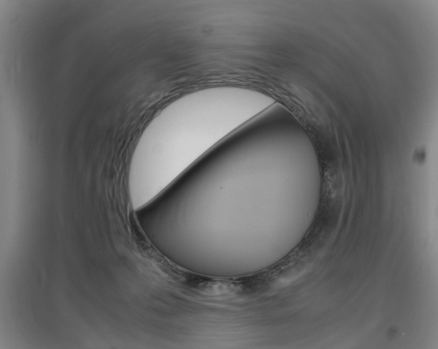 X0000097460223200802220814