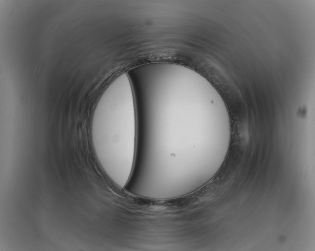 X0000097460224200802220814