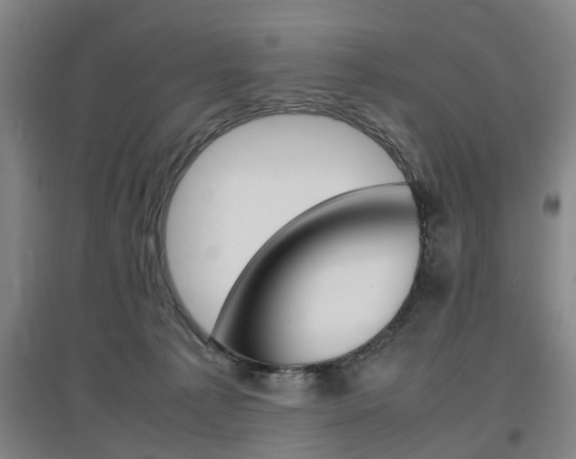 X0000097460225200802220814