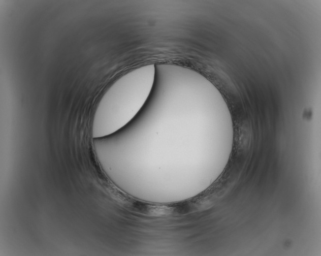 X0000097460226200802220814