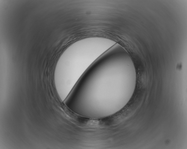 X0000097460227200802220814