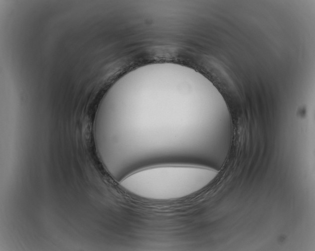 X0000097460228200802220814