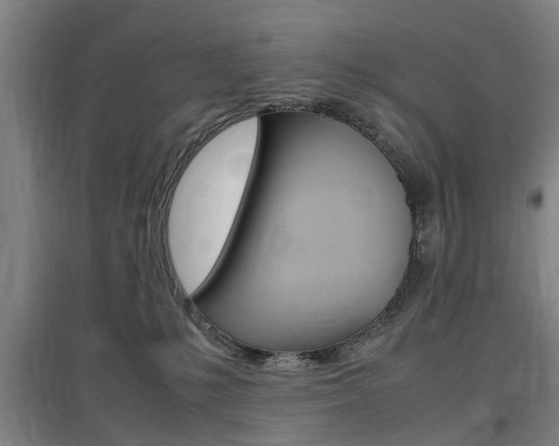 X0000097460231200802220814
