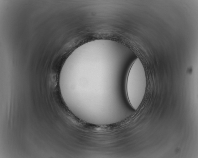 X0000097460232200802220814