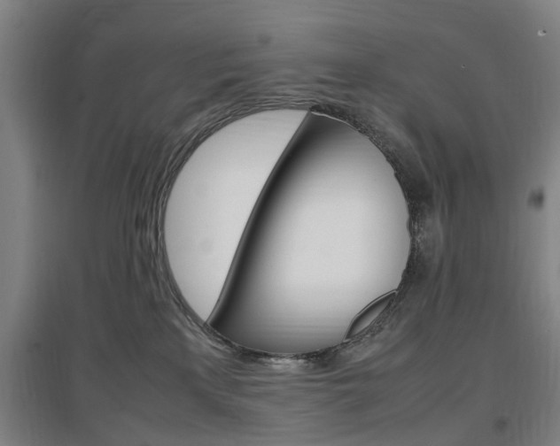 X0000097460233200802220814