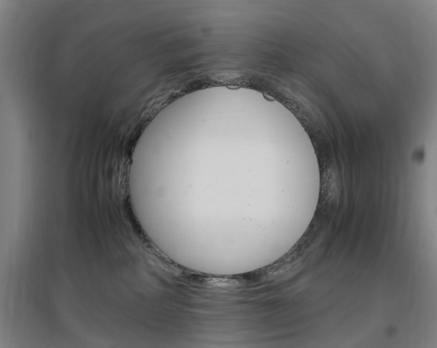 X0000097460234200802220814
