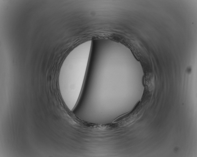 X0000097460235200802220814