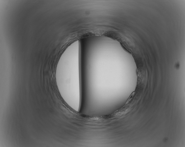X0000097460237200802220814