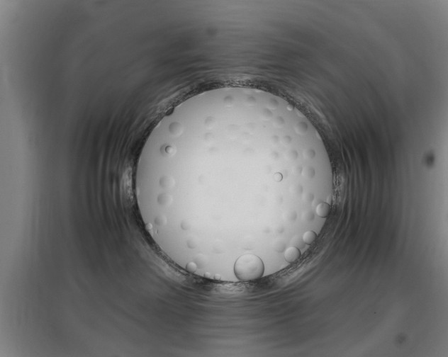 X0000097460238200802220814