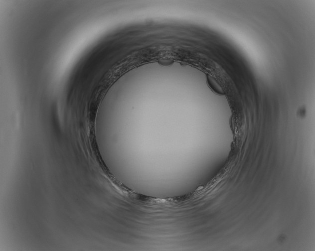 X0000097460239200802220814