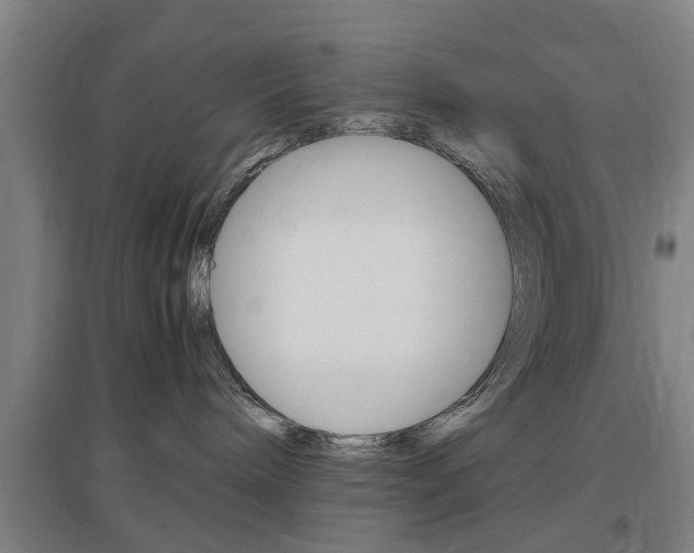 X0000097460240200802220814