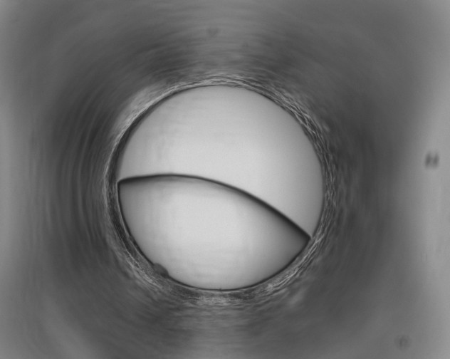 X0000097460242200802220813