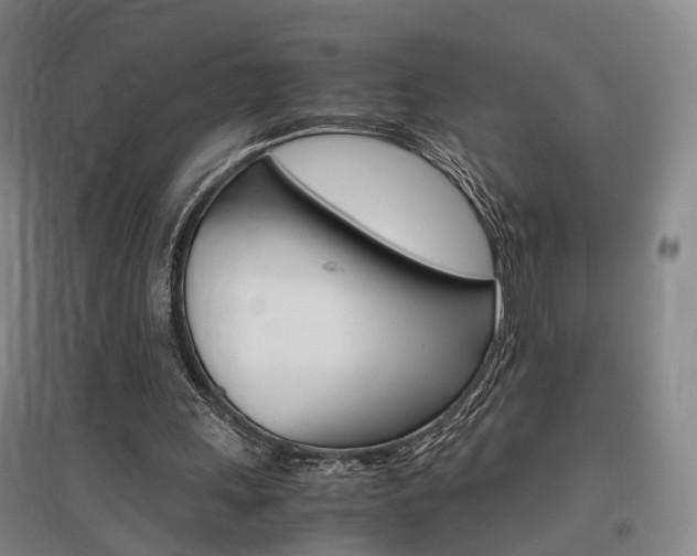 X0000097460243200802220813