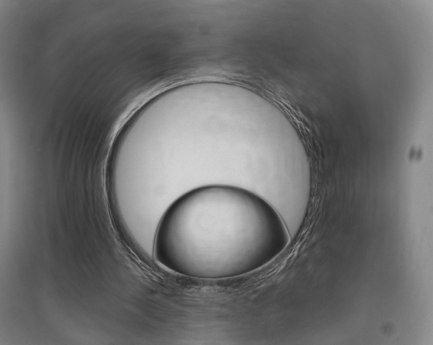 X0000097460244200802220813