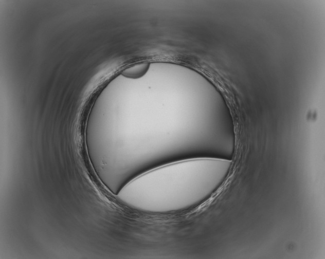 X0000097460245200802220813