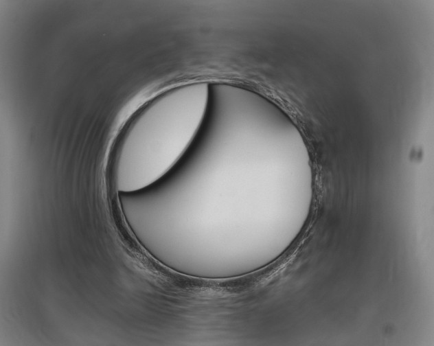 X0000097460246200802220813