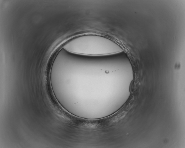 X0000097460247200802220813