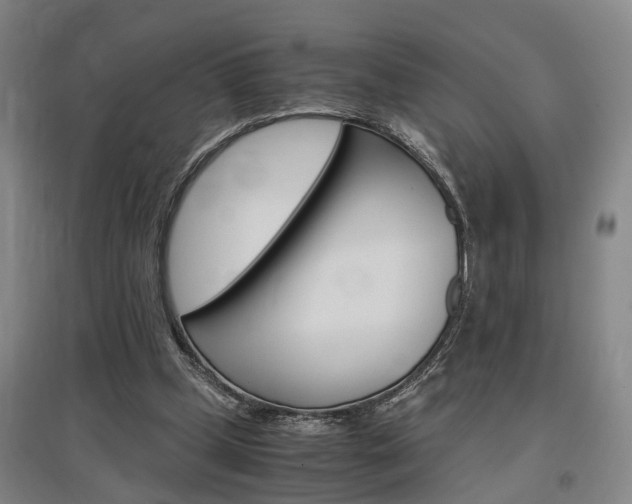 X0000097460249200802220813