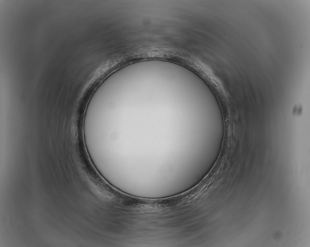 X0000097460250200802220813
