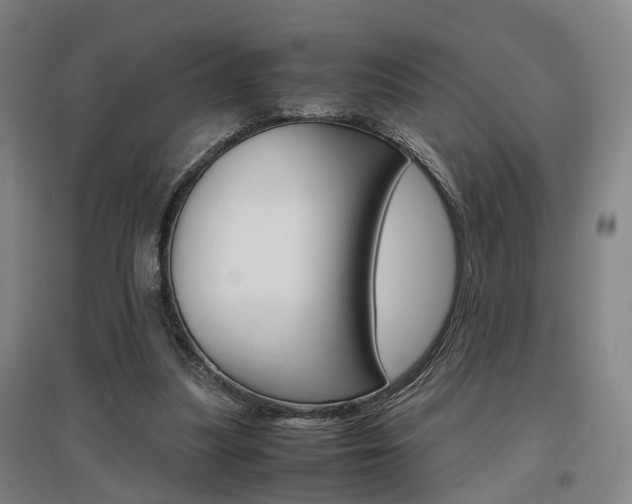 X0000097460251200802220813