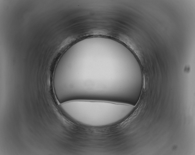 X0000097460253200802220813