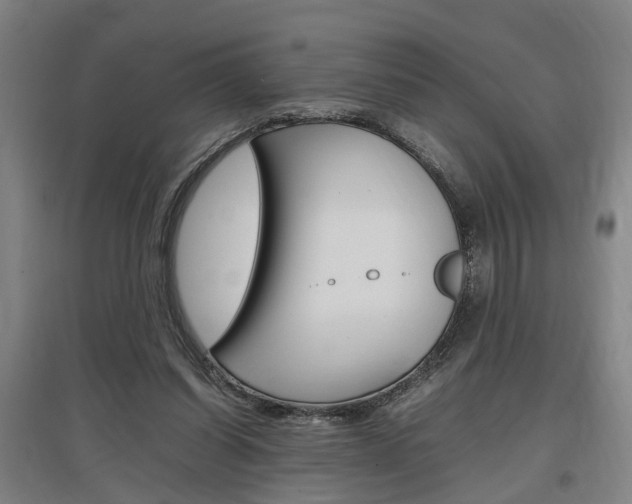 X0000097460254200802220813