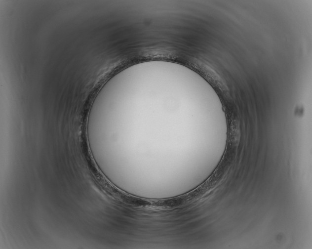 X0000097460255200802220813