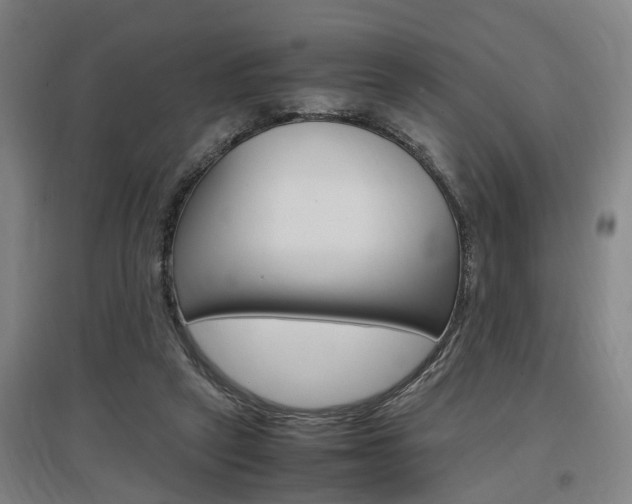 X0000097460257200802220813