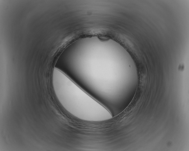 X0000097460260200802220813